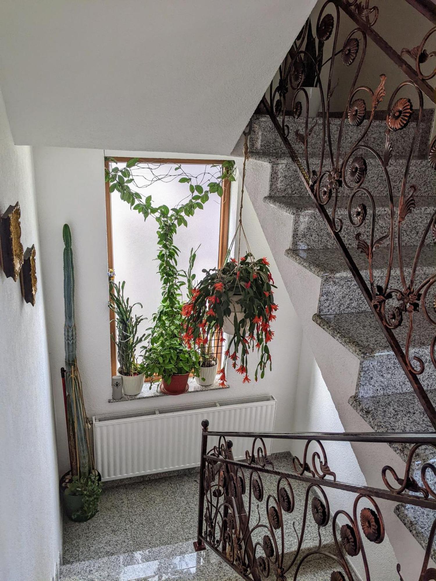 Apartmani Hrastik Bihać Εξωτερικό φωτογραφία