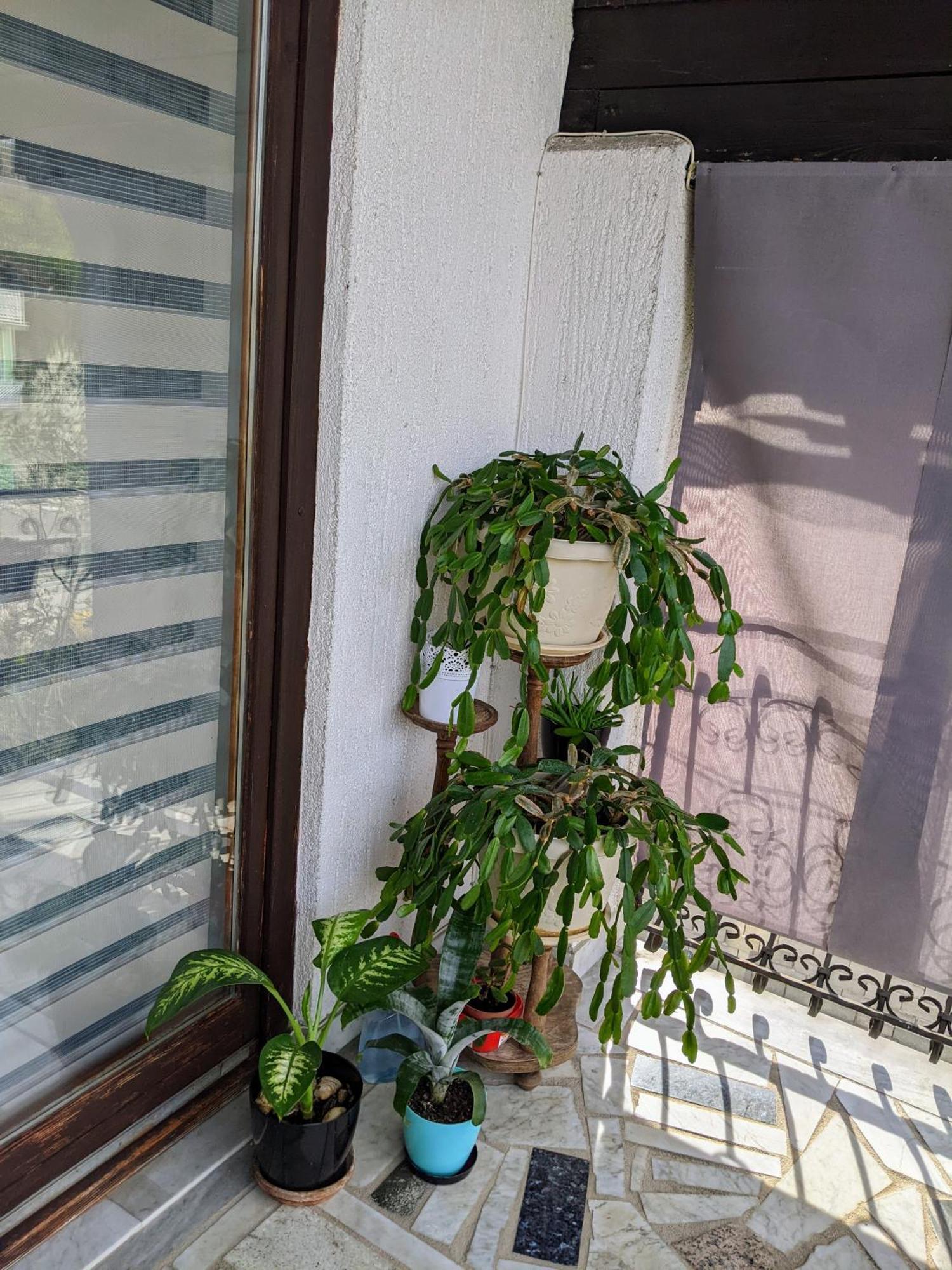 Apartmani Hrastik Bihać Δωμάτιο φωτογραφία